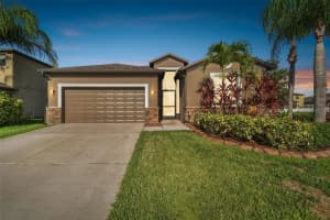 13201 Wellington Hills Dr, RIVERVIEW