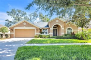 311 PARSONS WOODS DRIVE, SEFFNER, FL 33584 Sold 07/01/25