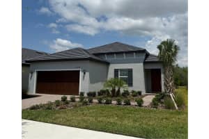 10098 Banyan Breeze Blvd, LAND O LAKES
