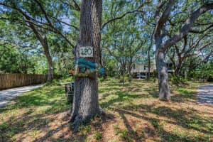 420 Hanby St, CRYSTAL BEACH 420 Hanby St, CRYSTAL BEACH