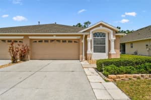 31105 WHITLOCK DRIVE, WESLEY CHAPEL, FL 33543 - MLS#MFRTB8384284