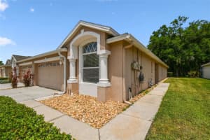 31105 WHITLOCK DRIVE, WESLEY CHAPEL, FL 33543 - MLS#MFRTB8384284