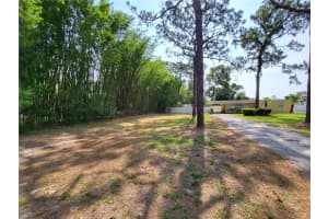 12907 53RD STREET, TEMPLE TERRACE, FL 33617 Sold 06/25/25