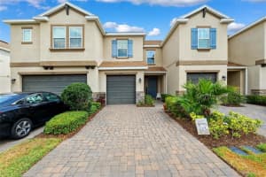 3217 PAINTED BLOSSOM COURT, LUTZ, FL 33558 Sold 06/09/25