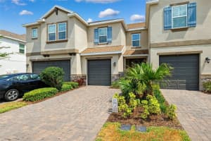 3217 PAINTED BLOSSOM COURT, LUTZ, FL 33558 Sold 06/09/25
