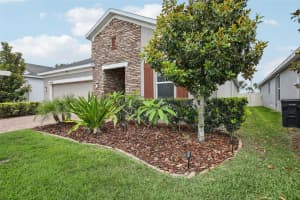 10625 CARDERA DRIVE, RIVERVIEW, FL 33578 Sold 07/17/25
