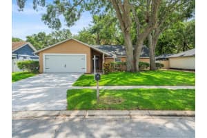 16015 GLEN HAVEN DRIVE, TAMPA, FL 33618 Sold 07/03/25