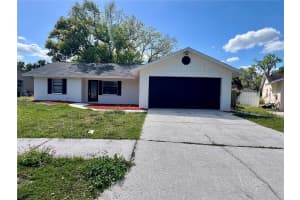 1053 WESTWOOD DRIVE, LUTZ, FL 33549 - MLS#MFRTB8384386