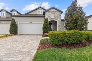 4195 Barletta Ct, WESLEY CHAPEL
