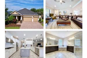 3643 ARBOR CHASE DRIVE, PALM HARBOR, FL 34683 Sold 06/30/25