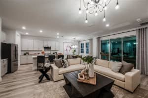 10009 SURREY ROSE DRIVE, SAN ANTONIO, FL 33576 - MLS#MFRTB8384406