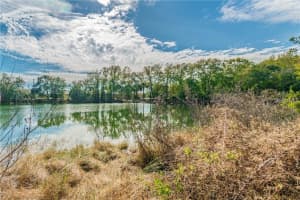 12102 PARKWOOD ST, HUDSON, FL 34669 - MLS#MFRTB8384556
