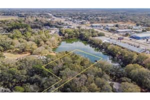 12102 PARKWOOD ST, HUDSON, FL 34669 - MLS#MFRTB8384556