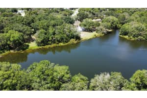 12102 PARKWOOD ST, HUDSON, FL 34669 - MLS#MFRTB8384556