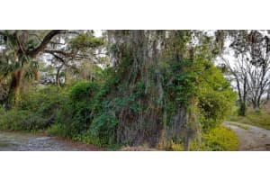 63 SHELTERING OAKS DRIVE, INVERNESS, FL 34453 - MLS#MFRTB8384607