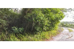 63 SHELTERING OAKS DRIVE, INVERNESS, FL 34453 - MLS#MFRTB8384607