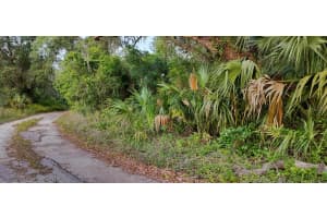 63 SHELTERING OAKS DRIVE, INVERNESS, FL 34453 - MLS#MFRTB8384607