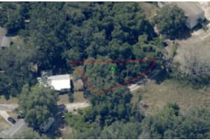 63 SHELTERING OAKS DRIVE, INVERNESS, FL 34453 - MLS#MFRTB8384607