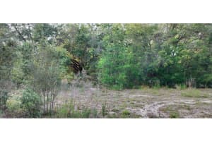 2608 POLK STREET, INVERNESS, FL 34453 - MLS#MFRTB8384608
