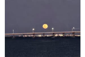 19029 US HIGHWAY 19 N #31F, CLEARWATER, FL 33764 - MLS#MFRTB8384672