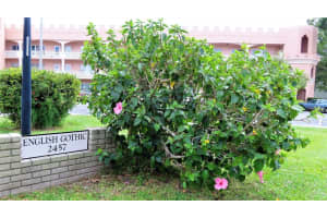 2457 Ecuadorian Way #85, CLEARWATER