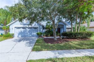 9220 DAYFLOWER DRIVE, TAMPA, FL 33647 Sold 08/18/25