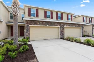 13233 CANOPY CREEK DRIVE, TAMPA, FL 33625 Sold 08/04/25