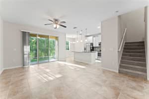 13233 CANOPY CREEK DRIVE, TAMPA, FL 33625 Sold 08/04/25