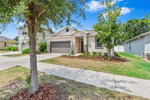 10563 LAGUNA PLAINS DRIVE, RIVERVIEW, FL 33578 Sold 06/20/25