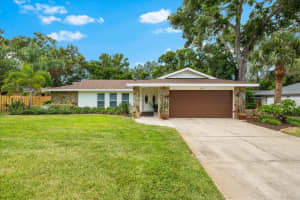 535 SANDY HOOK, PALM HARBOR, FL 34683 - MLS#MFRTB8384806
