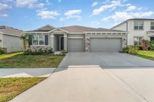 12436 Shining Willow St, RIVERVIEW
