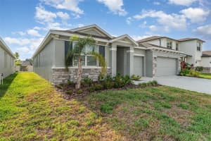 12436 SHINING WILLOW STREET, RIVERVIEW, FL 33579 - MLS#MFRTB8384810