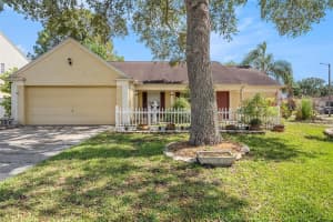 16201 Country Crossing Dr, TAMPA