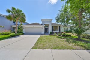 11408 Coventry Grove Cir, LITHIA