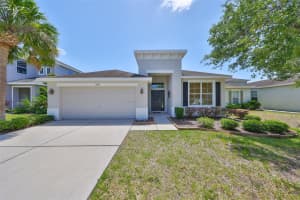 11408 COVENTRY GROVE CIRCLE, LITHIA, FL 33547 - MLS#MFRTB8384901