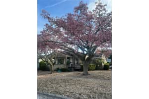 233 24TH STREET, ST PETERSBURG, FL 33713 - MLS#MFRTB8384910