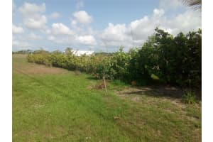 102 HARNESS ROAD, PLACIDA, FL 33946 - MLS#MFRTB8384943