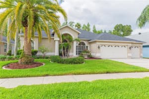 10002 COLONNADE DRIVE, TAMPA, FL 33647 Sold 06/18/25