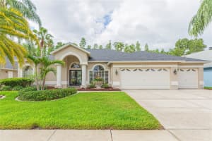 10002 COLONNADE DRIVE, TAMPA, FL 33647 Sold 06/18/25