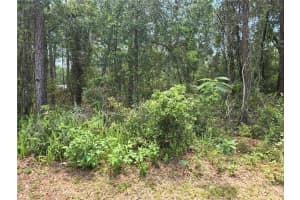 3546 DIANA LANE, INVERNESS, FL 34453 Sold 11/17/25