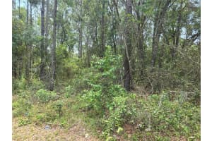 3546 DIANA LANE, INVERNESS, FL 34453 Sold 11/17/25