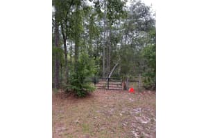 S SLASH PINE AVE, HOMOSASSA, FL 34446 - MLS#MFRTB8385021