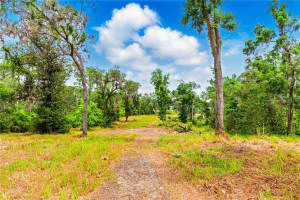 DAN BROWN HILL RD, BROOKSVILLE, FL 34602 - MLS#MFRTB8385047