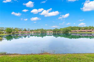 3399 MERMOOR DRIVE, PALM HARBOR, FL 34685 Sold 07/31/25