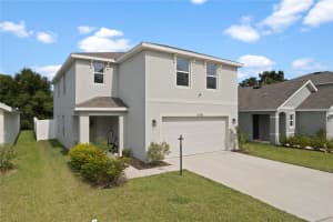 13734 WHISKEY DAISY DRIVE, DADE CITY, FL 33525 - MLS#MFRTB8385113