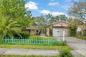 1021 15TH STREET, PALM HARBOR, FL 34683 - MLS#MFRTB8385123