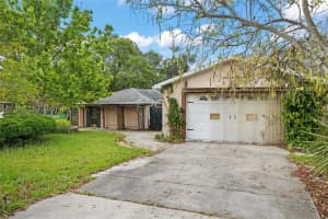 1021 15TH STREET, PALM HARBOR, FL 34683 - MLS#MFRTB8385123