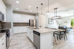 17847 ALTHEA BLUE PLACE, LUTZ, FL 33558 - MLS#MFRTB8385135