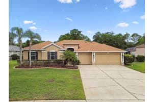 19106 BECKETT DRIVE, ODESSA, FL 33556 Sold 08/22/25