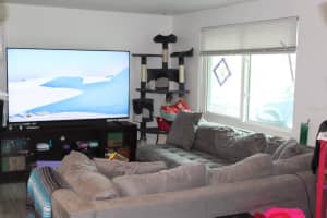 4928 LAKE RIDGE LANE, HOLIDAY, FL 34690 - MLS#MFRTB8385217